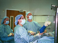 Dr. Thal Training Visiting Surgeons